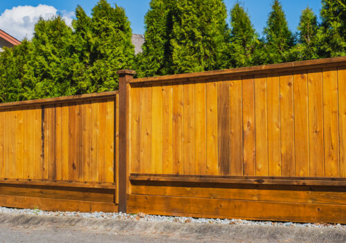 cedar privacy fence