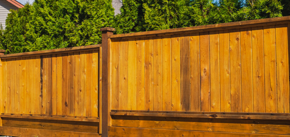 cedar privacy fence