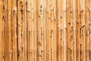 cedar privacy fence